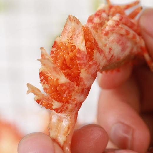 【火龙虾】土豪虾 - 果香源微商城