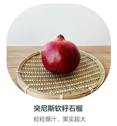 突尼斯石榴（合作） 商品图0