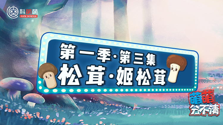 第一季·第三集 松茸vs姬松茸篇