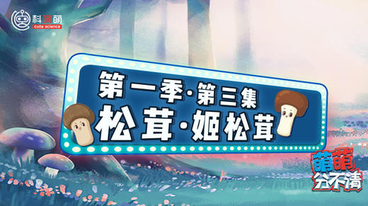 第一季·第三集 松茸vs姬松茸篇 商品图0