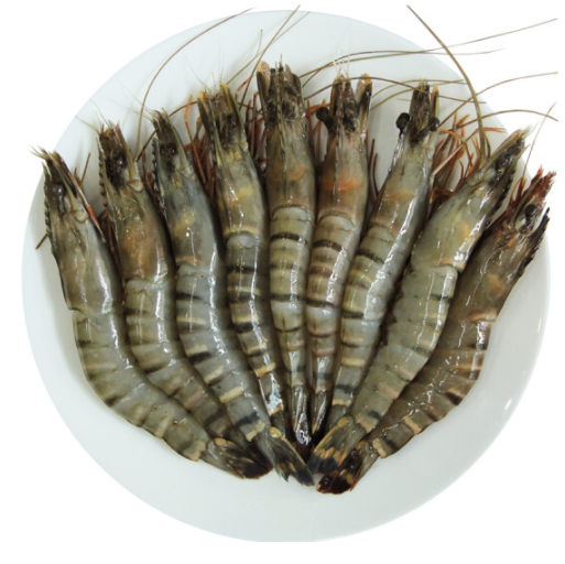 泰国黑虎虾 1.6斤(约20只),团购价69元