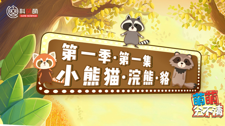 第一季·第一集 小熊猫vs浣熊vs貉篇
