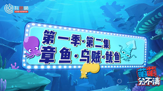 第一季·第二集 章鱼vs乌贼vs鱿鱼篇 商品图0