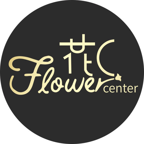 花C鲜花供应链240831260118