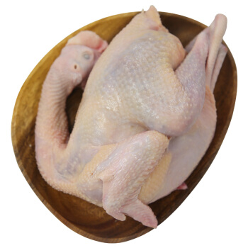 百年栗园 散养老母鸡 净膛无内脏 1000g/袋(一只鸡) 北京密云山林谷饲