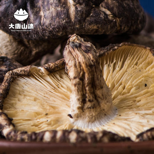 大唐山臻土香菇110g/罐 商品图3