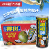 椰树 椰汁正宗椰树牌椰子汁饮料 植物蛋白饮料 商品缩略图2