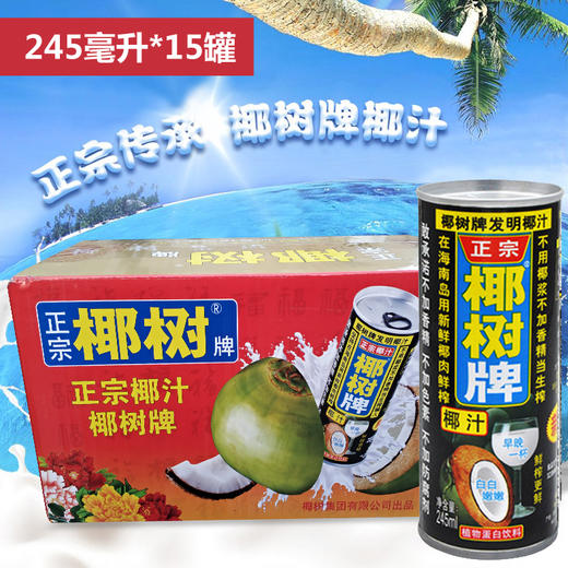 椰樹 椰汁正宗椰樹牌椰子汁飲料 植物蛋白飲料