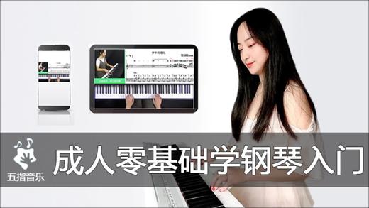 综合实战：梁静茹《可惜不是你》演奏示范 商品图0