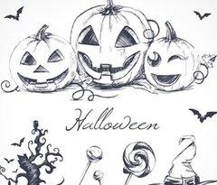 动物简笔画 商品图0