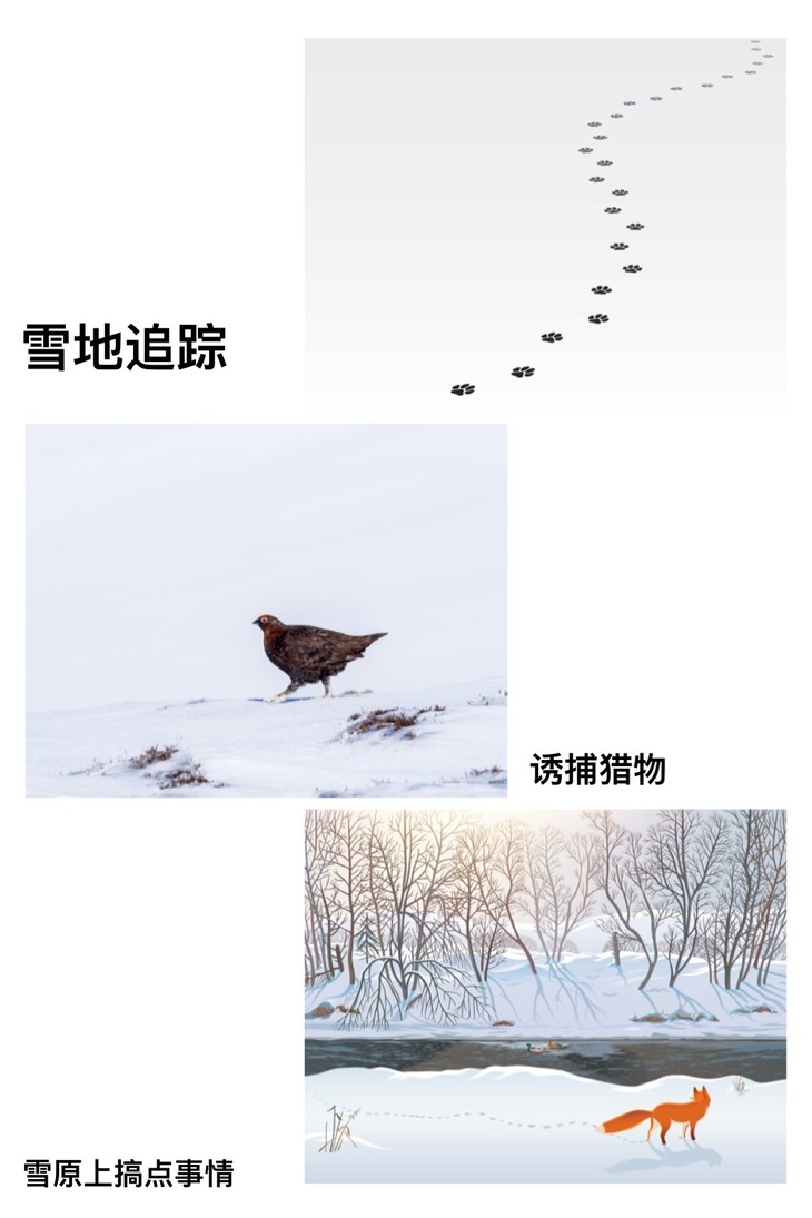 cd77c35610d247583fe7e99ff7f5b69.jpg
