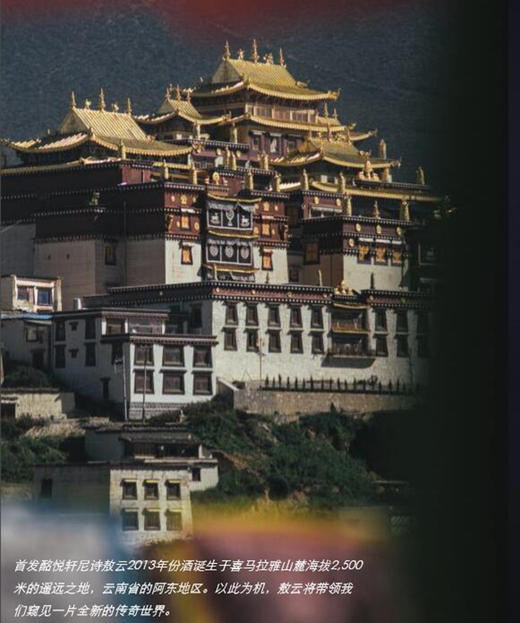 敖云干红葡萄酒13年和14年敖云组合装,绝版限量30套,泣血发售Ao Yun Yunnan China - 上海景祥食品(饮酒思源)