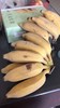 【产地直发包邮】云南柠檬君—老实芭蕉（一周2次发货） 商品缩略图1