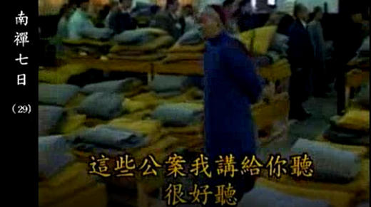 《南禅七日》29 商品图0
