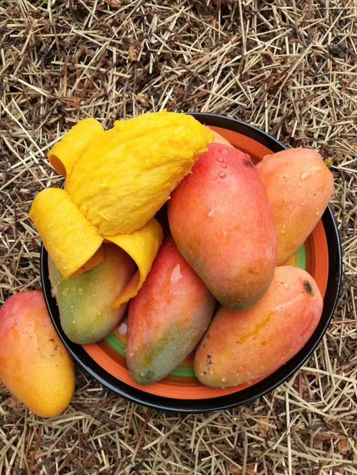 贵妃芒 皮薄！核薄！多汁！甜蜜浓烈【4斤装】 商品图0