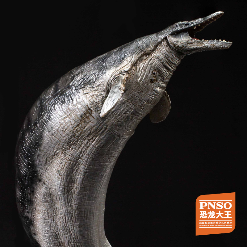 pnso巨齿鲨巴顿角鼻龙尼克大眼鱼龙布鲁克龙王鲸奥巴恐龙大王成长陪伴