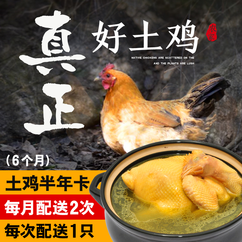 土鸡半年卡丨12只原耕正宗散养土鸡按月配送，活鸡现杀