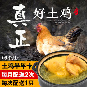 土鸡半年卡丨12只原耕正宗散养土鸡按月配送，活鸡现杀