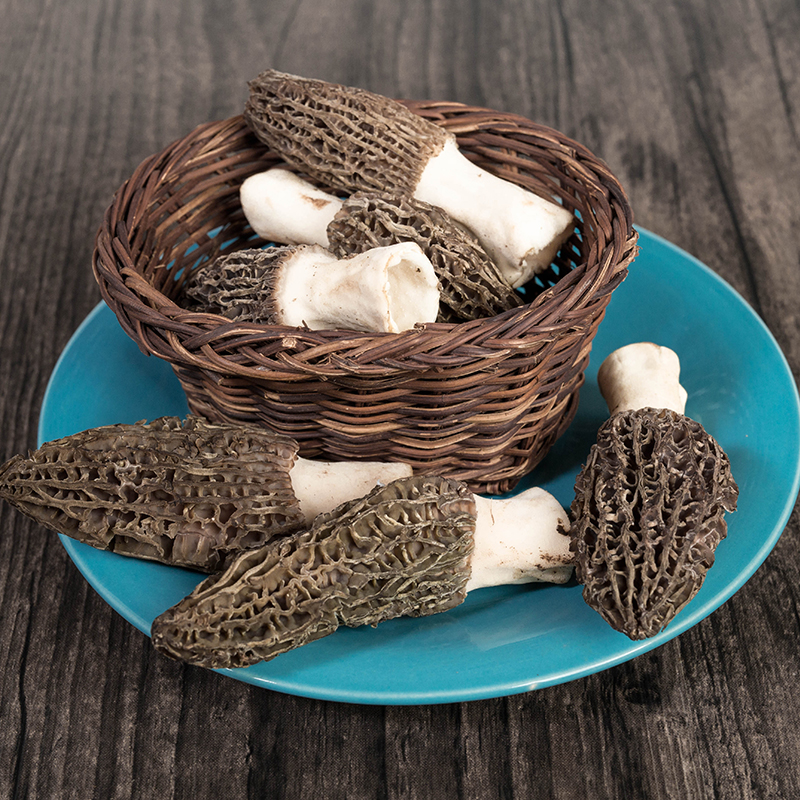 精品鲜羊肚菌味道鲜美脆嫩可口顺丰包邮下单后72小时发货