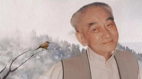 《南禅七日》（南怀瑾文教基金会整理完整版）