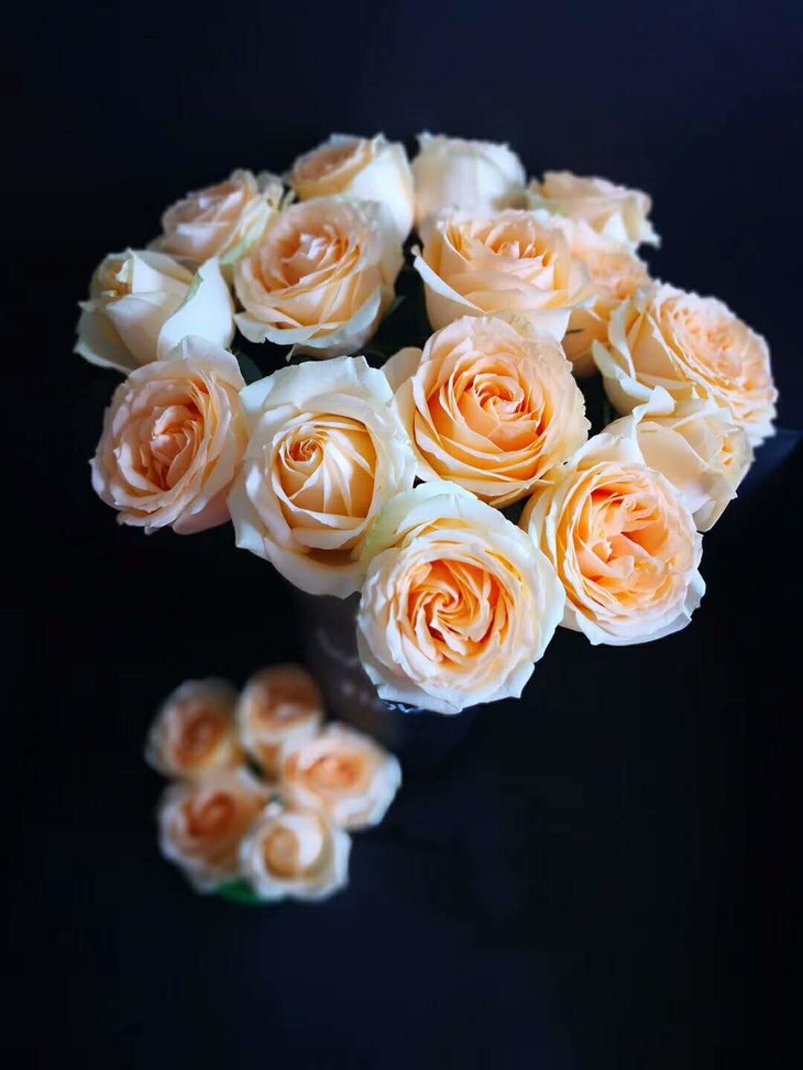 39元买15支香槟玫瑰再送5支,办公室家庭插花用,包邮到家哦!