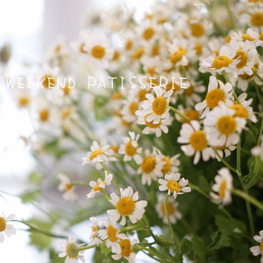 洋甘菊 商品图0