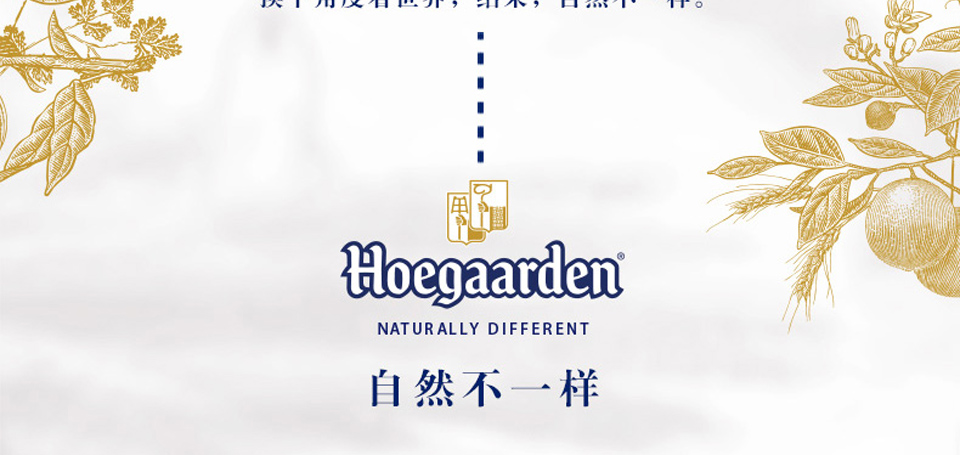 【比利时】福佳白啤听装500ml(6听装)-南宁站