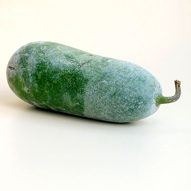 享惠生鲜 新鲜冬瓜 小冬瓜 新鲜蔬菜绿皮冬瓜