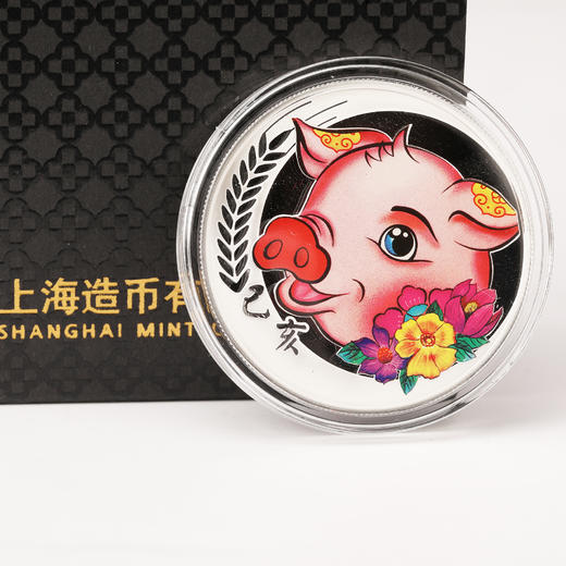 2019猪年彩色银章 商品图1