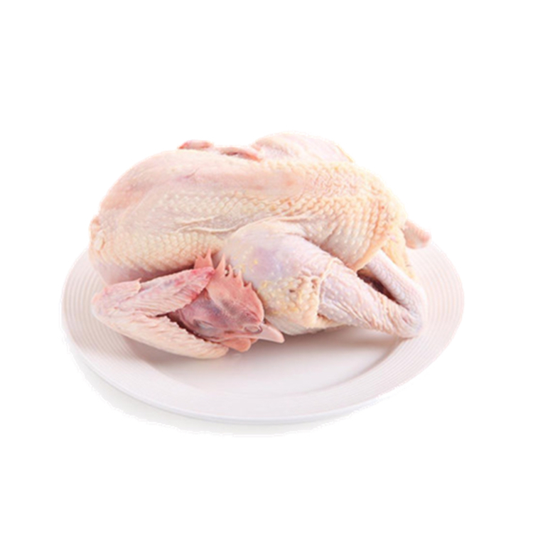 登山鸡★月子鸡 孕妇/产后修复营养首选月子鸡