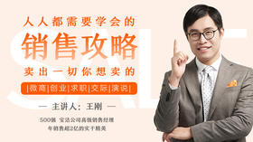 人人都需学会的销售攻略：卖出一切你想卖的