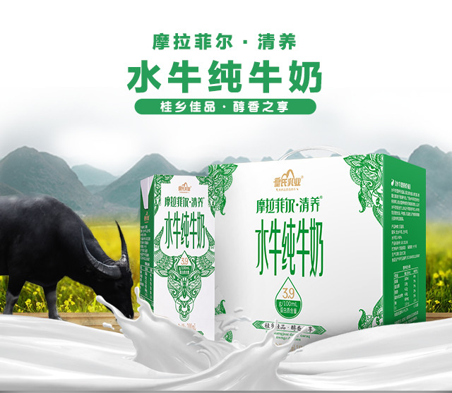 会员专享摩拉菲尔清养水牛奶200ml12盒