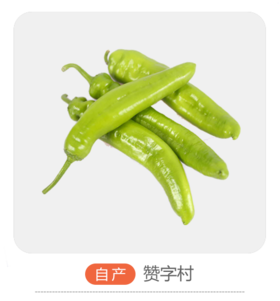 长尖椒