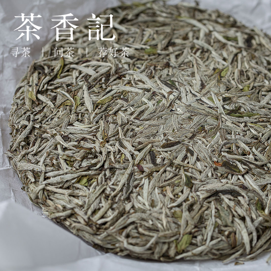 茶香记 梅花香白毫银针饼 磻溪高山定制款 炭火烘焙 原生态 梅花香