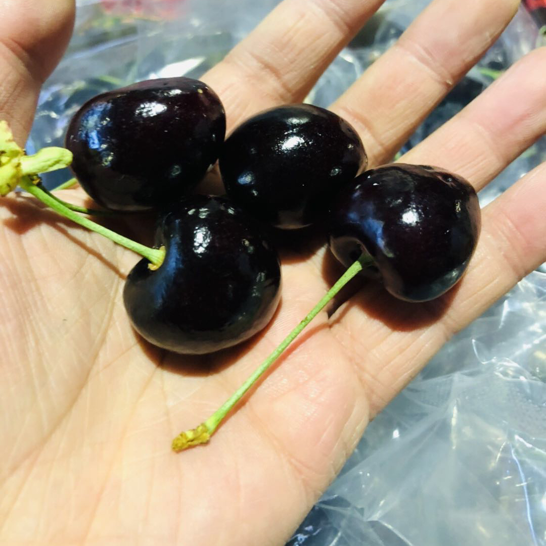 【神级智利科迪亚黑车厘子】杆超长!超新鲜,纯甜无酸,漂洋过海来看你!