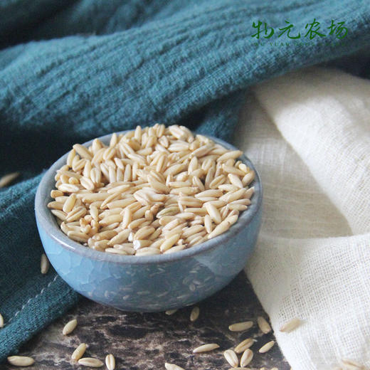 【有机燕麦】350g实惠装东北新粮私家农场新鲜燕麦丨350g