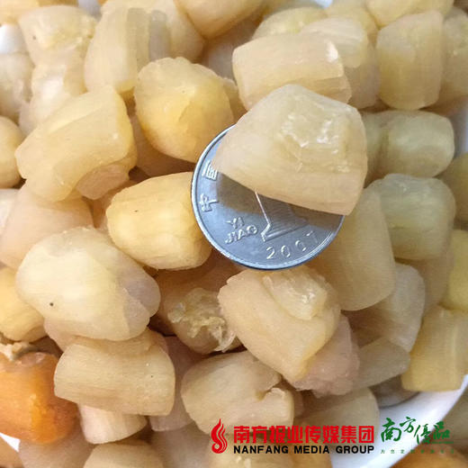 【次日提货】干贝 礼盒装  500g/袋 商品图1