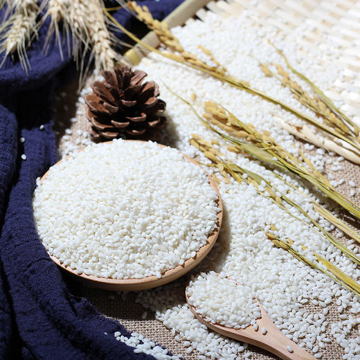 品城记甄选循耕有机象牙米口感软糯古法耕种天然种植500g2礼盒新年就