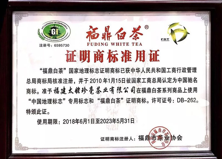 茶香记 老寿眉2013 福鼎 老白茶 太姥山 枣香明显 性价比高