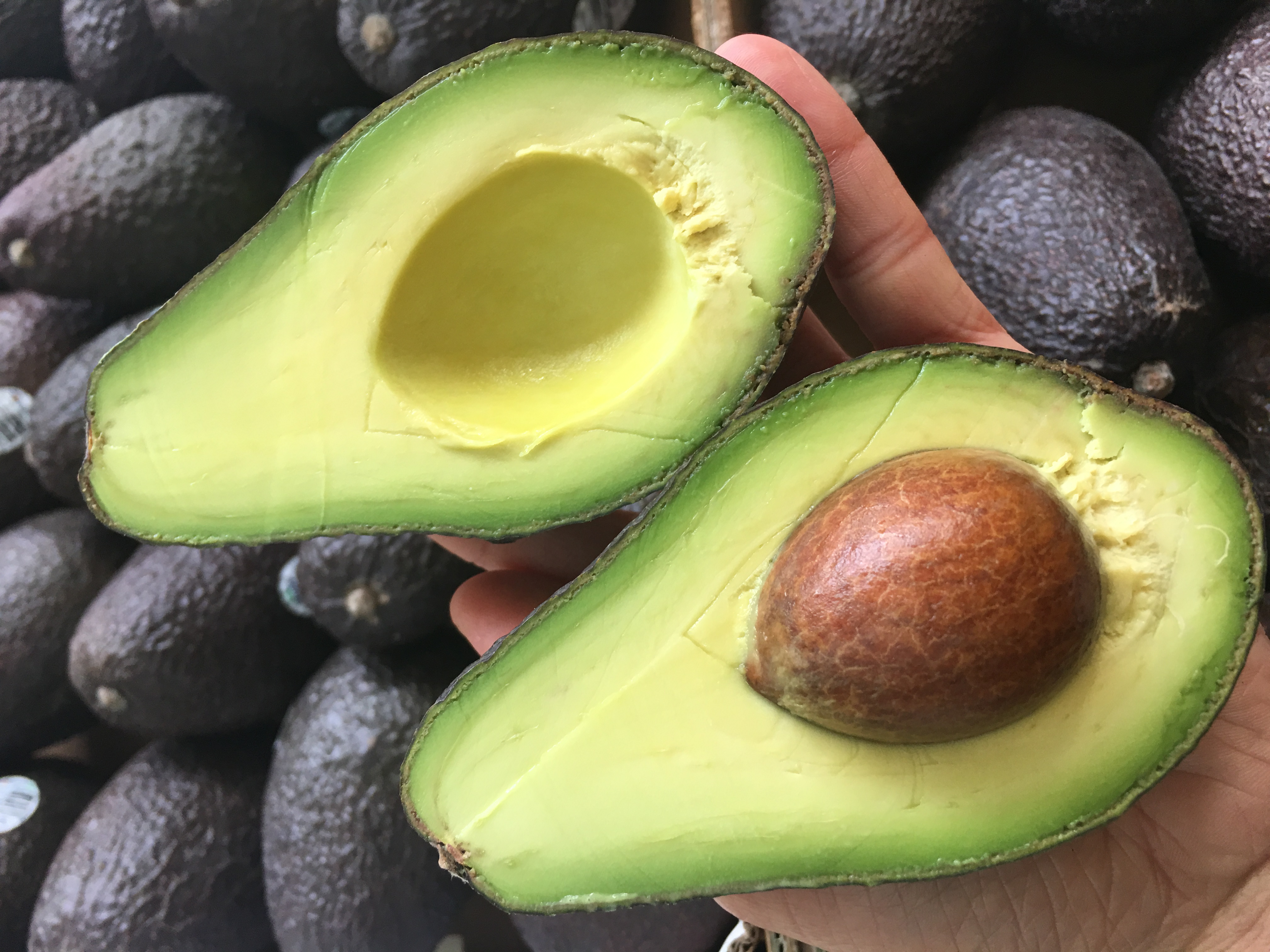 宏丰精选进口牛油果鳄梨肉质软滑