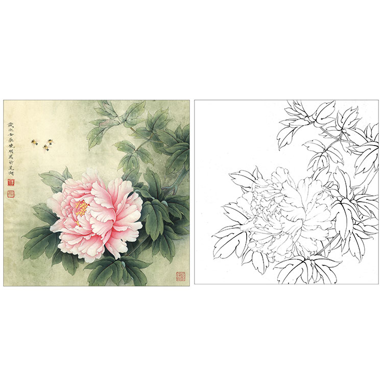 有步骤大彩图李晓明工笔花鸟画白描底稿牡丹图玉立春风斗方小品册页kd