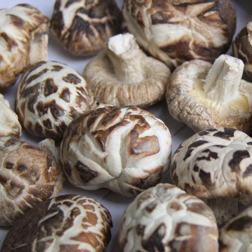 【十堰天福绿色食品】山利来绿盒花菇300g礼盒 商品图3