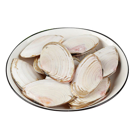 东港直发 活冻刀贝 500g/袋*2袋 团购价68元