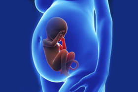 【DHA】孕期补DHA的3个关键期，孕妈咪千万别忽略！