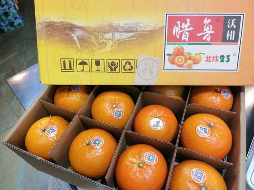 腊鲁沃柑特级果 商品图0