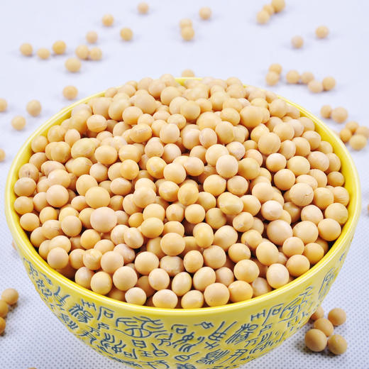 内蒙古呼伦贝尔·黄豆【燕之坊】呼伦贝尔大黄豆1kg 可做菜 打豆浆 真