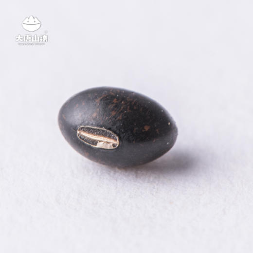 大唐山臻原生种黑豆750g/罐
 商品图4