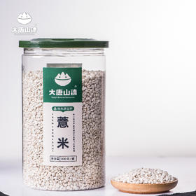 大唐山臻原生种薏米单罐800g/罐