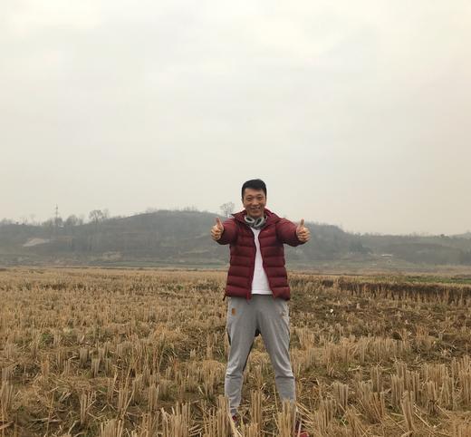 洋县香米10斤装大米 商品图3