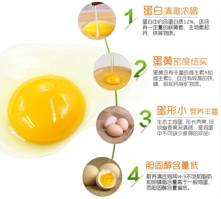 全新升级可生食的沙棘鸡蛋富硒含有vc的健康蛋高钙无抗生素健康鸡蛋